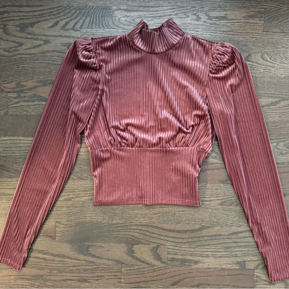 Gorgeous “Forever 21” Sz XS Velvet cropped Rose Top